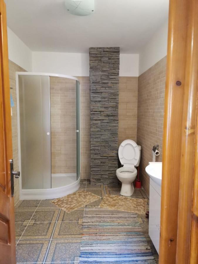 Hotel Casa Crisandri Buşteni Esterno foto