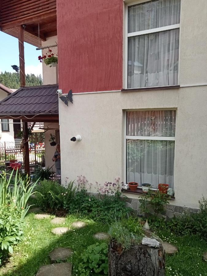 Hotel Casa Crisandri Buşteni Esterno foto