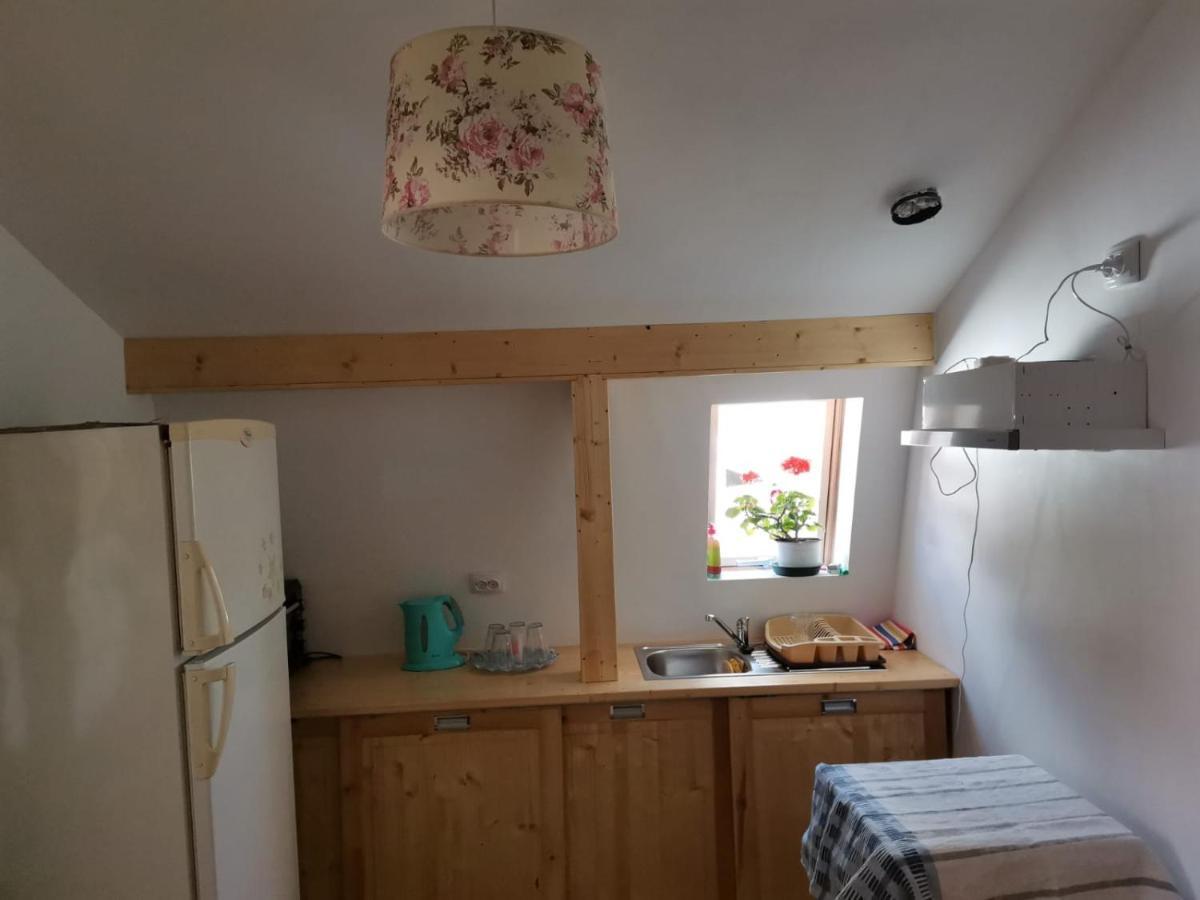Hotel Casa Crisandri Buşteni Esterno foto