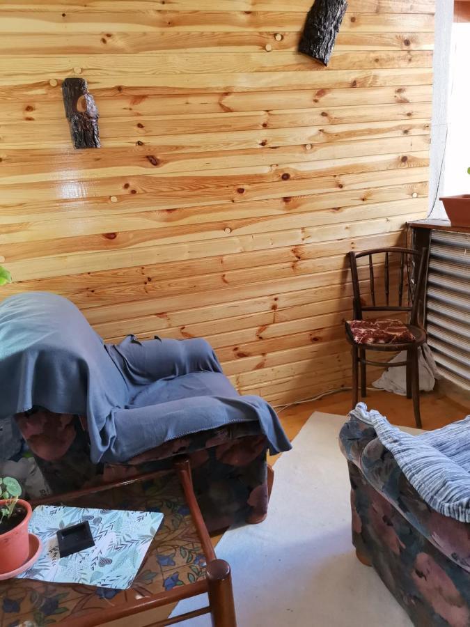 Hotel Casa Crisandri Buşteni Esterno foto