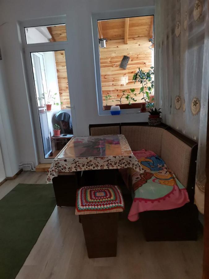 Hotel Casa Crisandri Buşteni Esterno foto